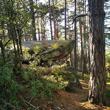La Grande Vallee - Vue Exceptionnelle Lägenhet Orbey